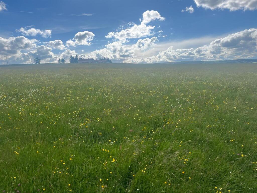 Main image of property: Land at Jobs Lodge Farm Woodland, Bishop Auckland