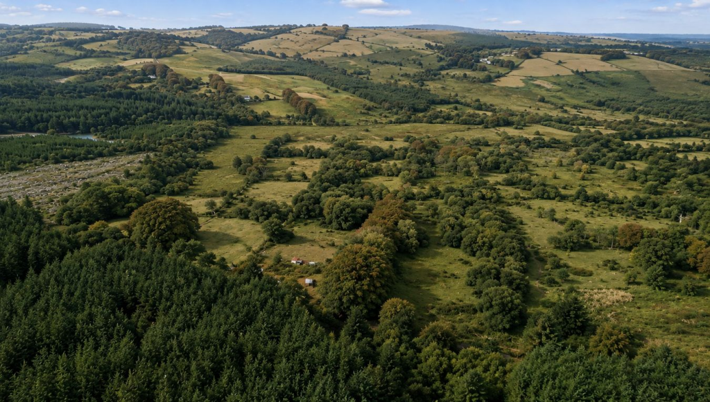 Cellan, Lampeter, SA48 - More