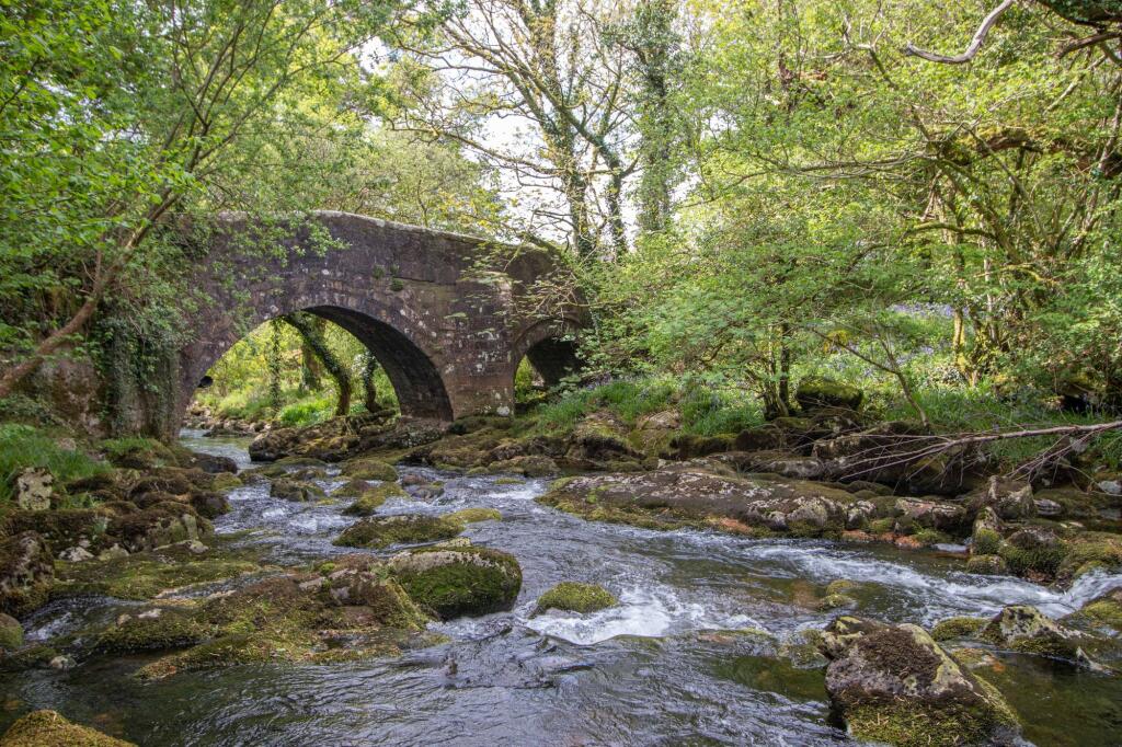 Harford, Ivybridge, PL21 photo 4