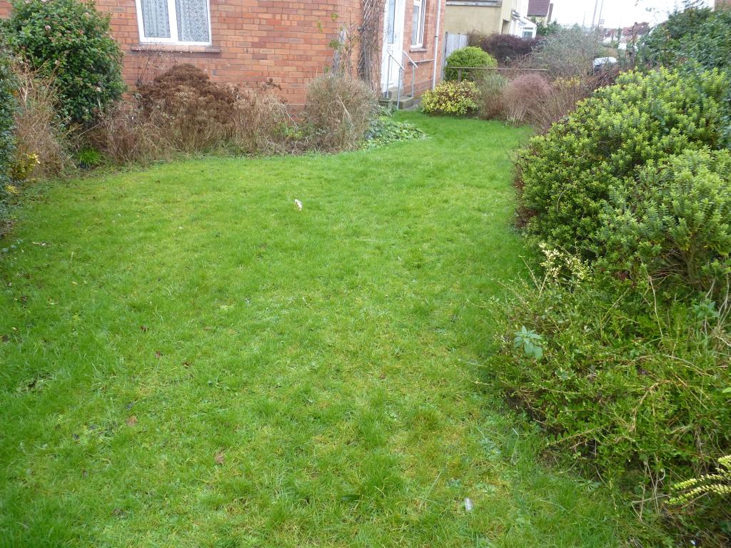 Photo of the property