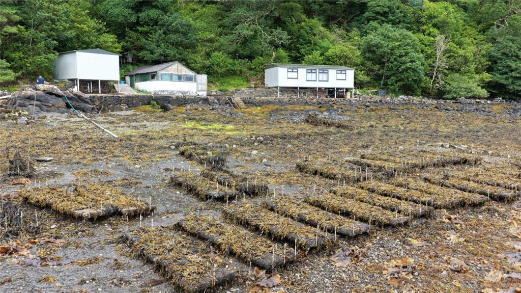 Tobermory Oyster Farm, Tobermory, Isle Of Mull, Argyll, PA75 - View 5
