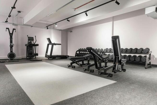 The-Gym.jpg