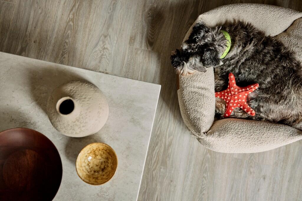 Additional image 7 of 4 Inkwell Place, Birmingham, B16