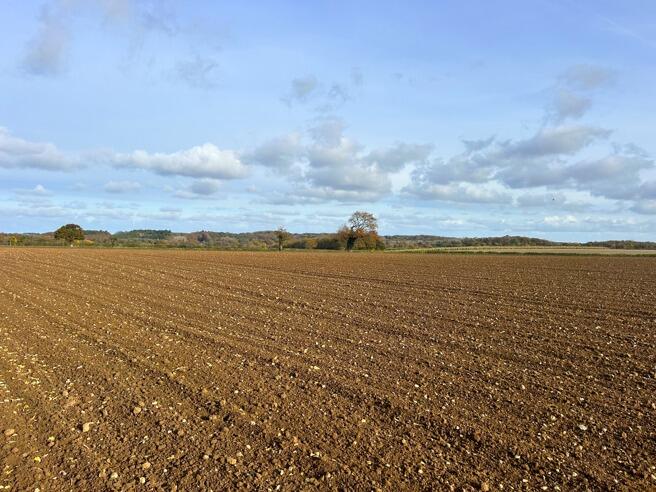 Main image of property: 9.56 Ha (23.62 Ac), Sandy Lane, Southrepps, Norfolk, NR11 8NJ