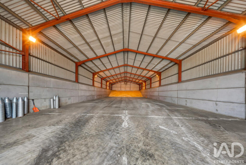 Manor Farm, Coveney, (8.75 ACRES WITH ADDITIONAL LAND AVAILABLE TO PURCHASE) - More