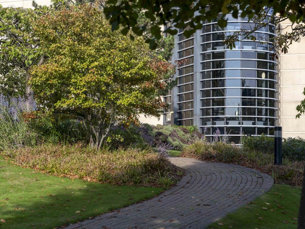 Pathways 10.jpg