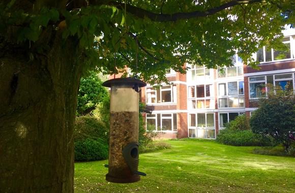 Main image of property: Marlborough Drive, Bristol, BS16