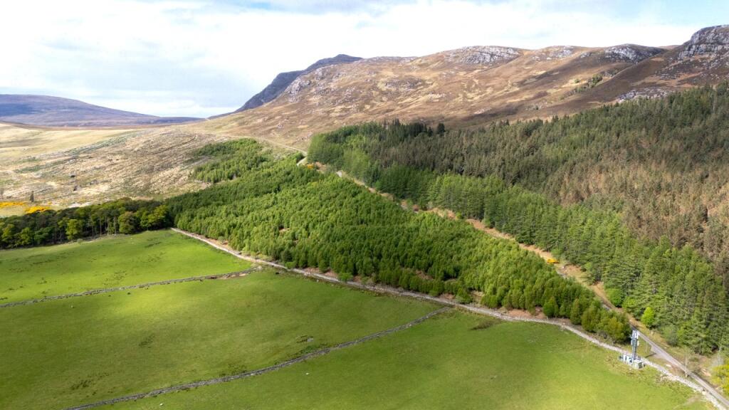 Main image of property: Taigh Ghoblach - Lot 2, Dundonnell Woodland, Garve, IV23