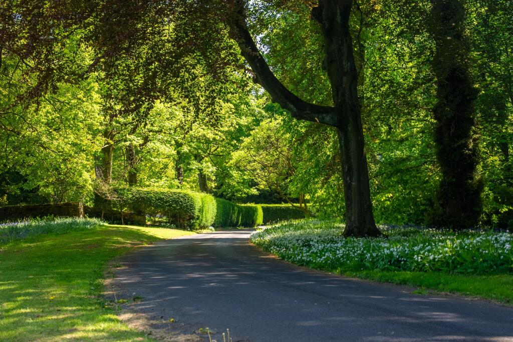 Additional image 57 of Whins Lane, Simonstone, BB12