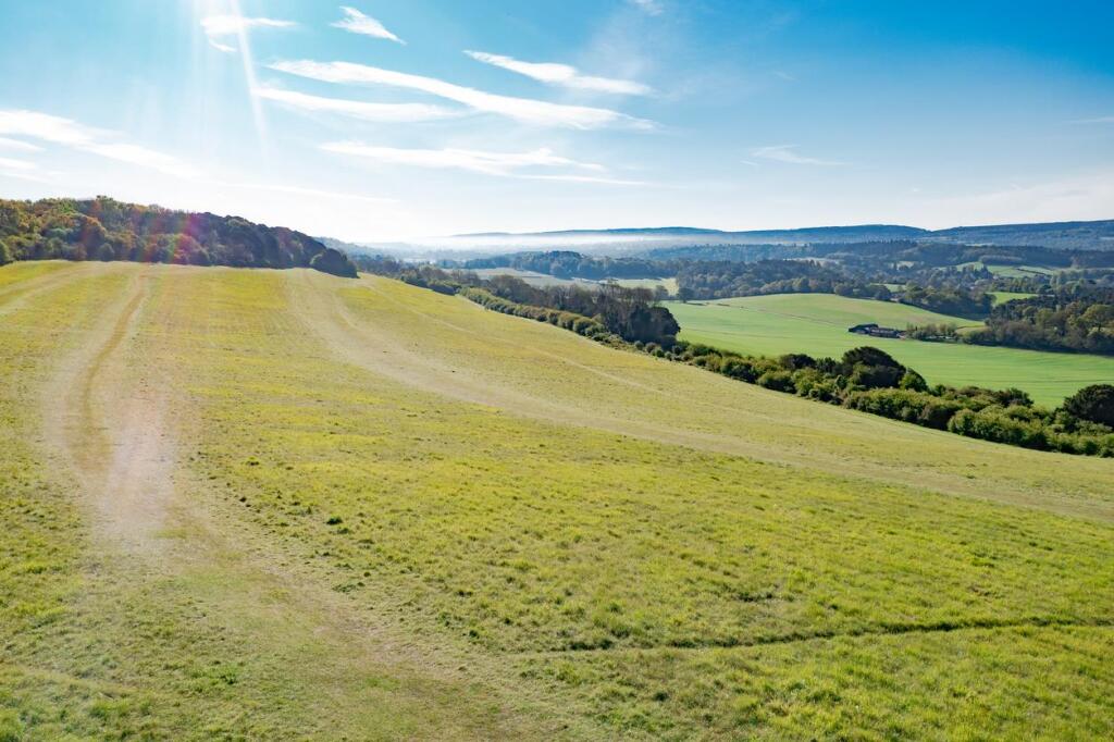 Hascombe, Surrey - More