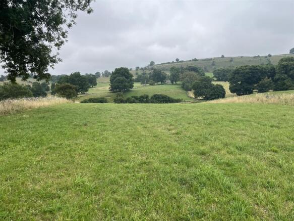 IMG_9193.JPEG