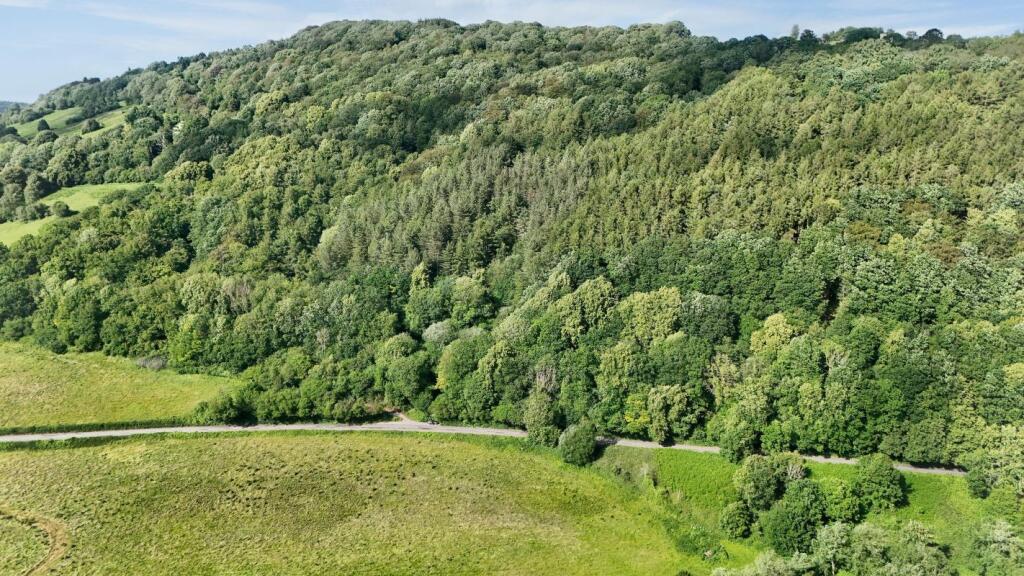 Area 1, Redbrook Wood, Monmouth, Gwent, NP25 4LU