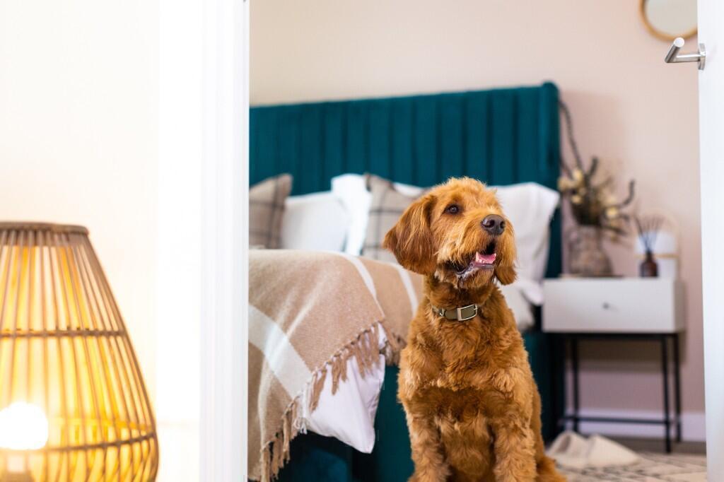 Additional image 14 of Flat 416, Allcock Street, Birmingham, B9