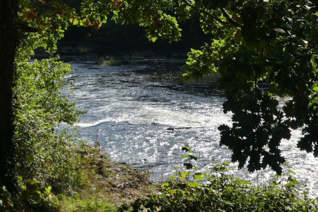 Nyth Riverside Lodge - A Holiday Home With Fishing Rights, Erwood, Builth Wells, LD2 photo 4