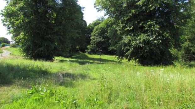 Photo of the property