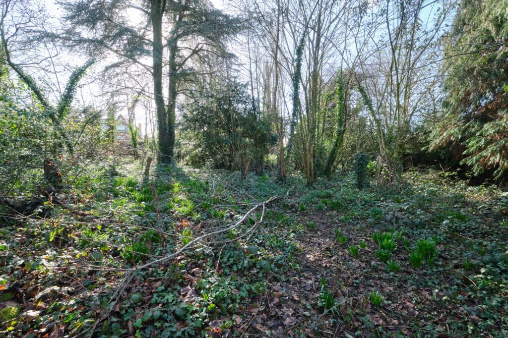 Additional image 28 of Handsworth Wood Road, Birmingham