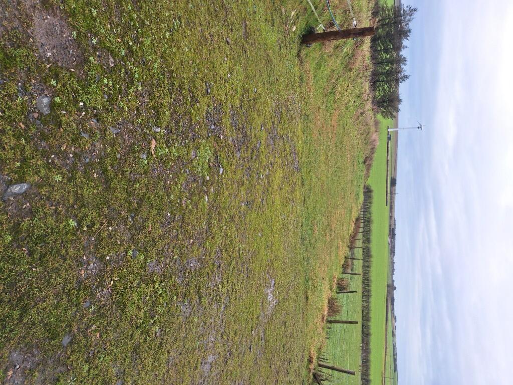 Additional image 24 of Wester Pettymarcus, Clola, Mintlaw, AB42 5AF 