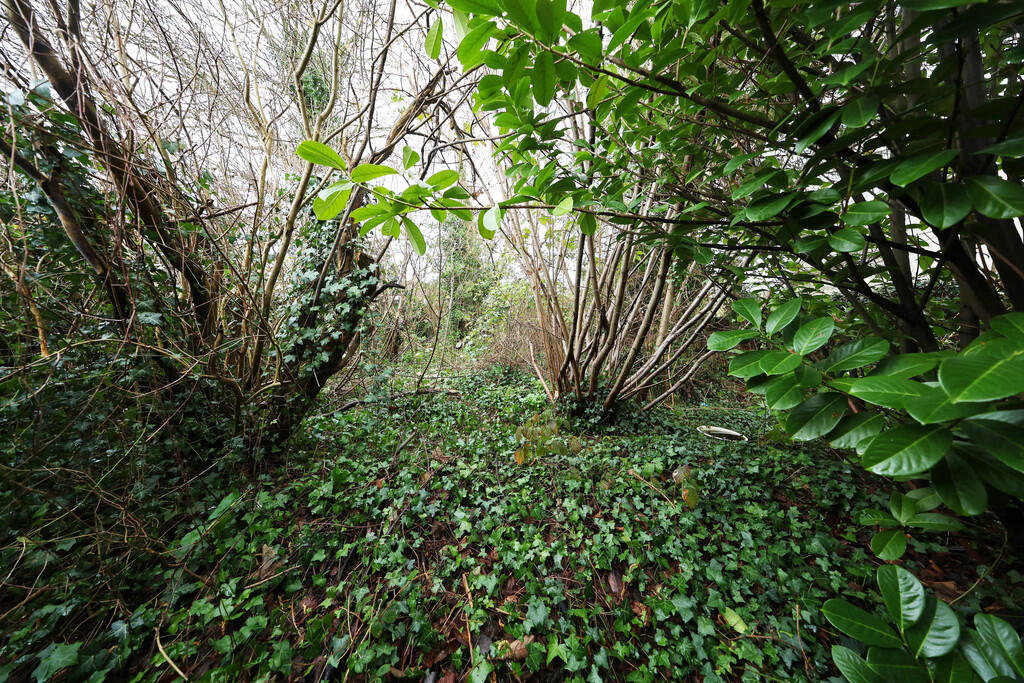 Photo of the property