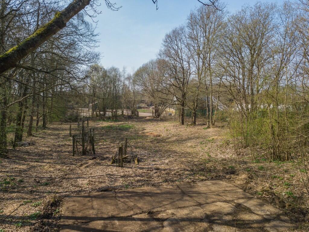 Photo 38