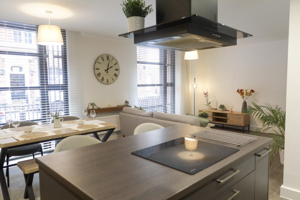 Assay Lofts, St Paul's Square, Birmingham, B3 - Widok 4
