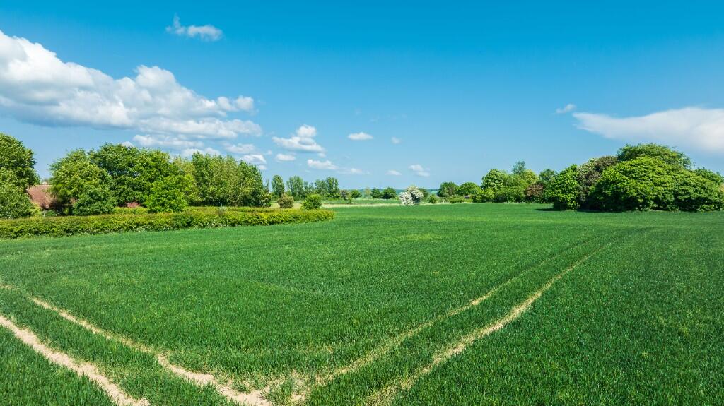 Main image of property: Newhouse & Gosmere Farms, Sheldwich, Kent