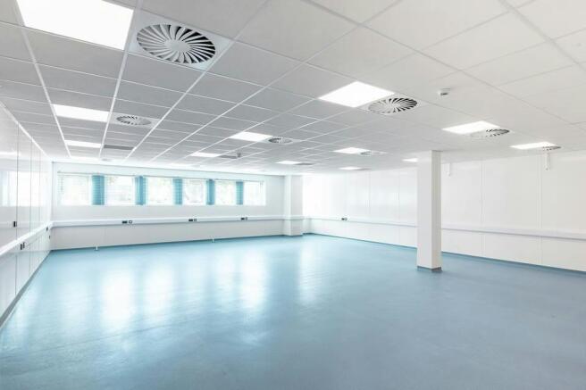 K1 Refurbished Labs-3.jpg