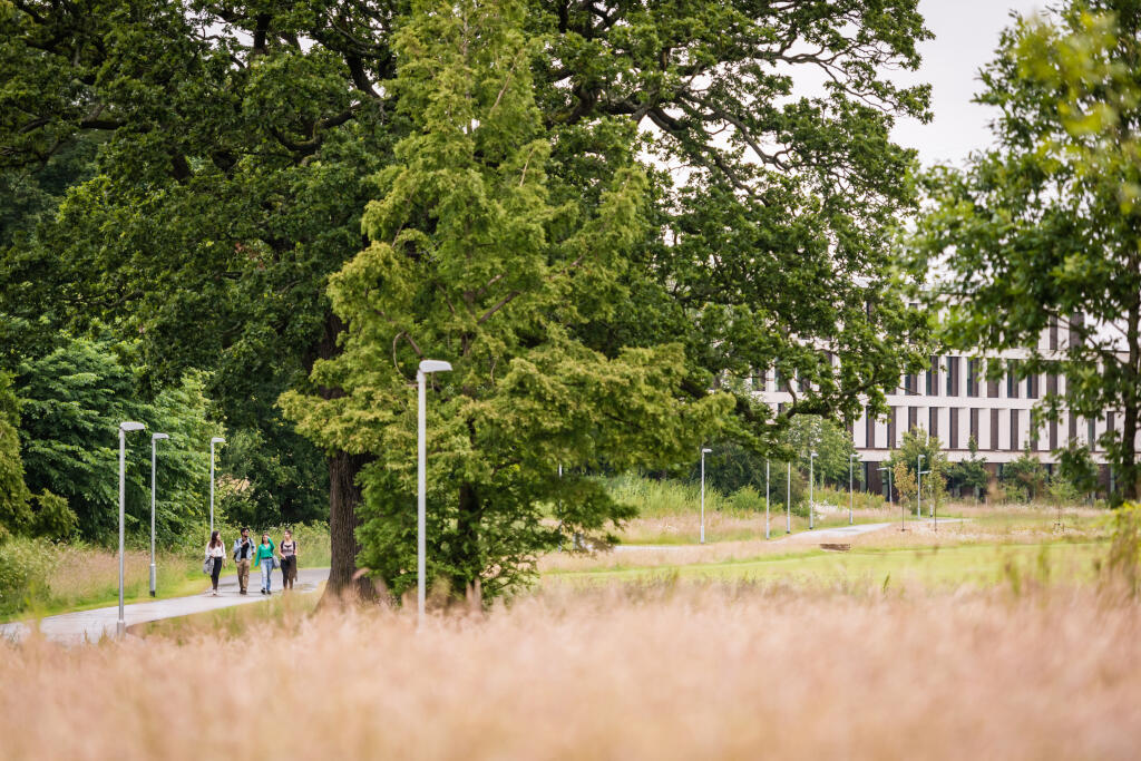 Campus walk