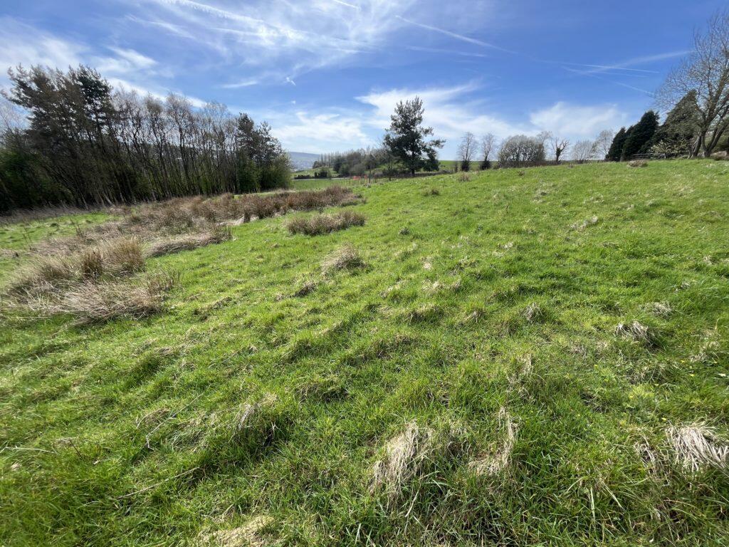 Additional image 5 of Land for Sale – 1.764 Hectares (4.36 Acres), Cuckstool Lane, Burnley, BB12 9NZ