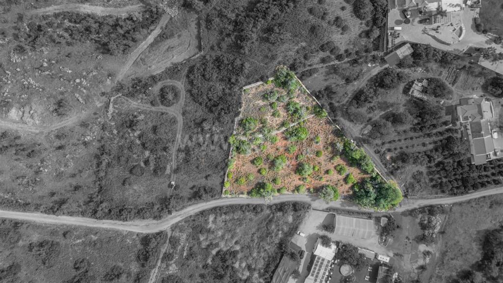 Main image of property: Algarve, Loulé