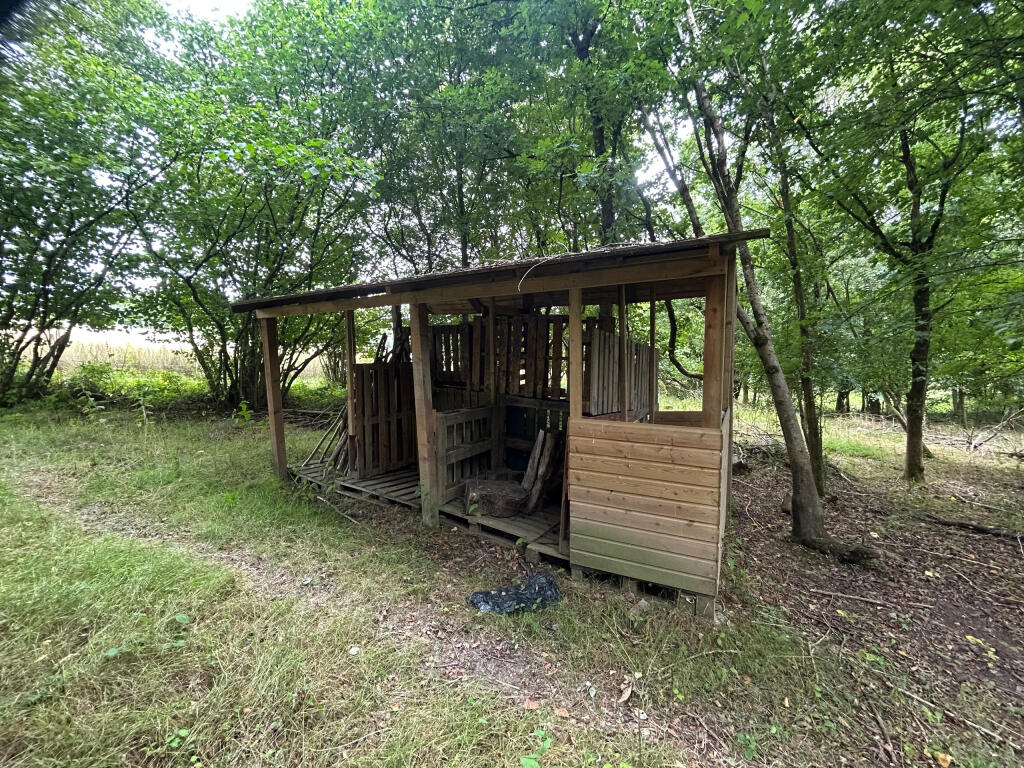 Land Lying to the South West of Hamsell Manor Lodge, Groombridge Lane, Tunbridge Wells, TN3 9LE - View 5