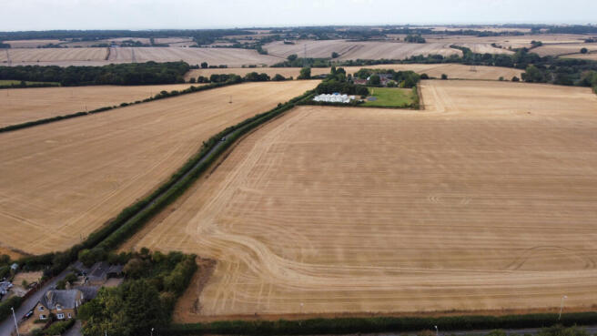 dji_fly_20260818_163936_913_1787067725210_photo_op