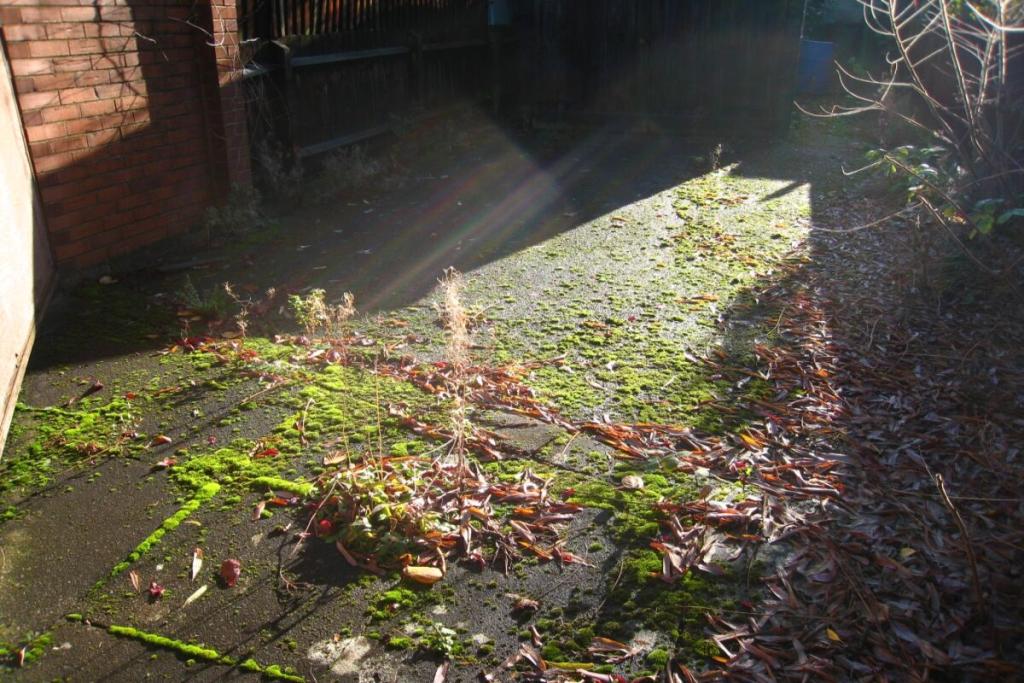 Photo of the property