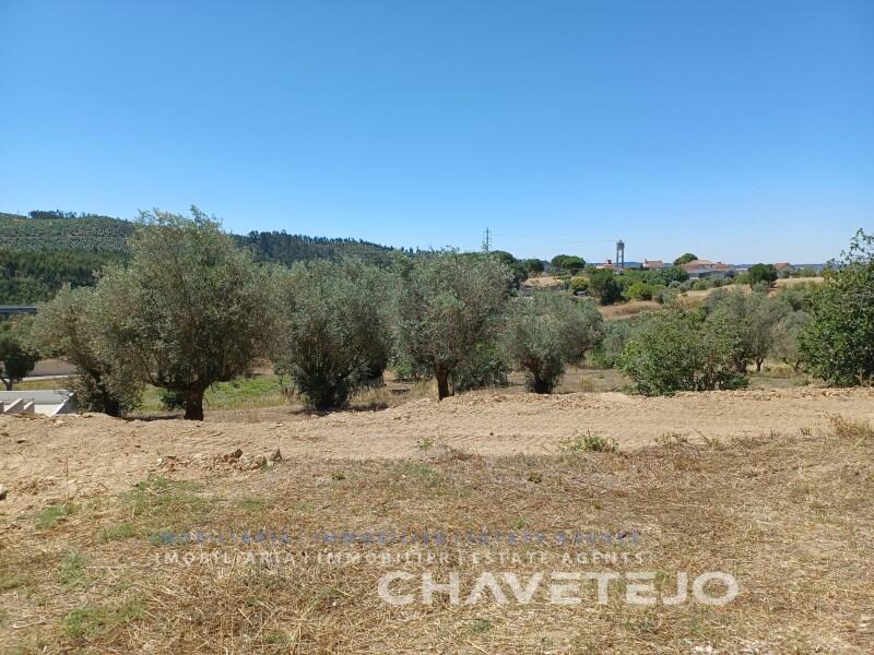 Main image of property: Ribatejo, Tomar