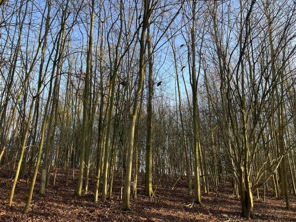 Main image of property: Trunch Hill, Denton