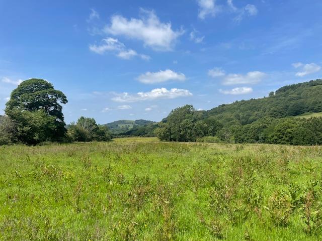 Main image of property: Land South of Harrop Wood, Rainow, Macclesfield