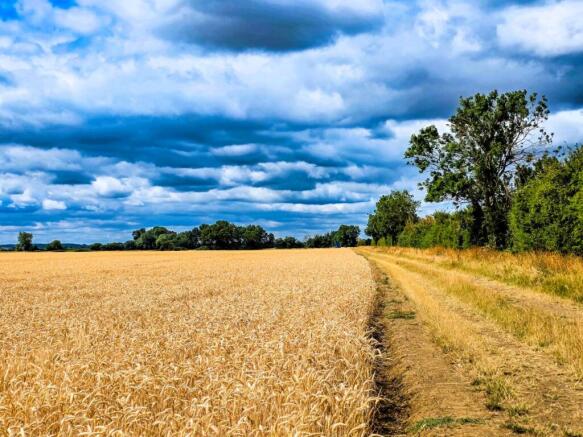 Land