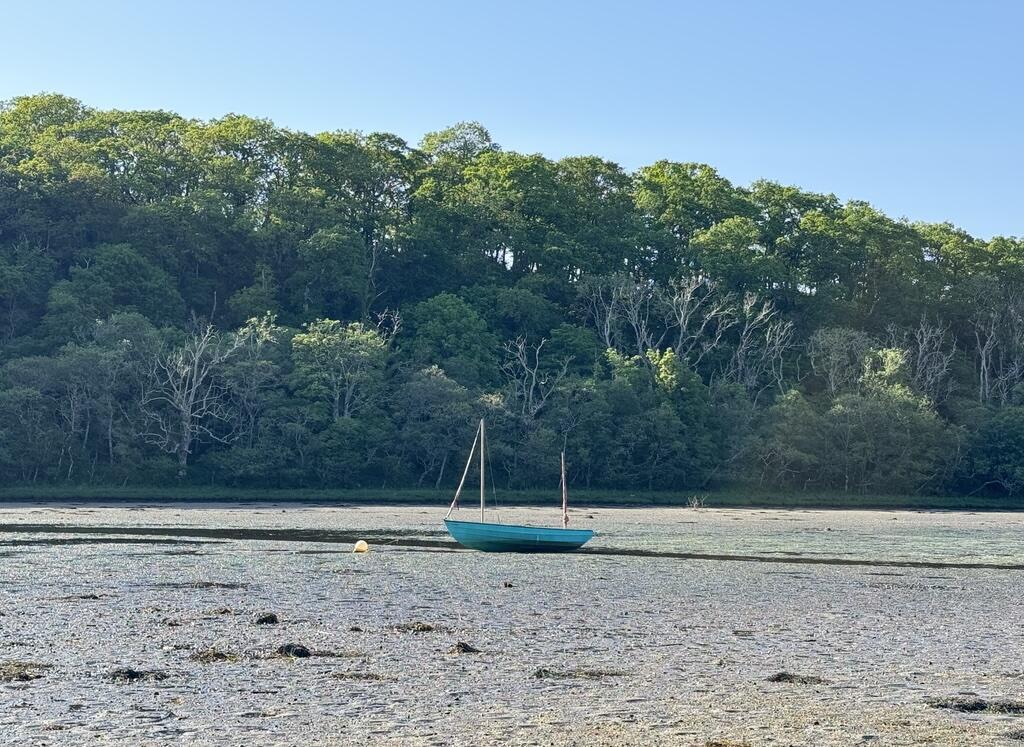 Achnamara, Lochgilphead photo 4