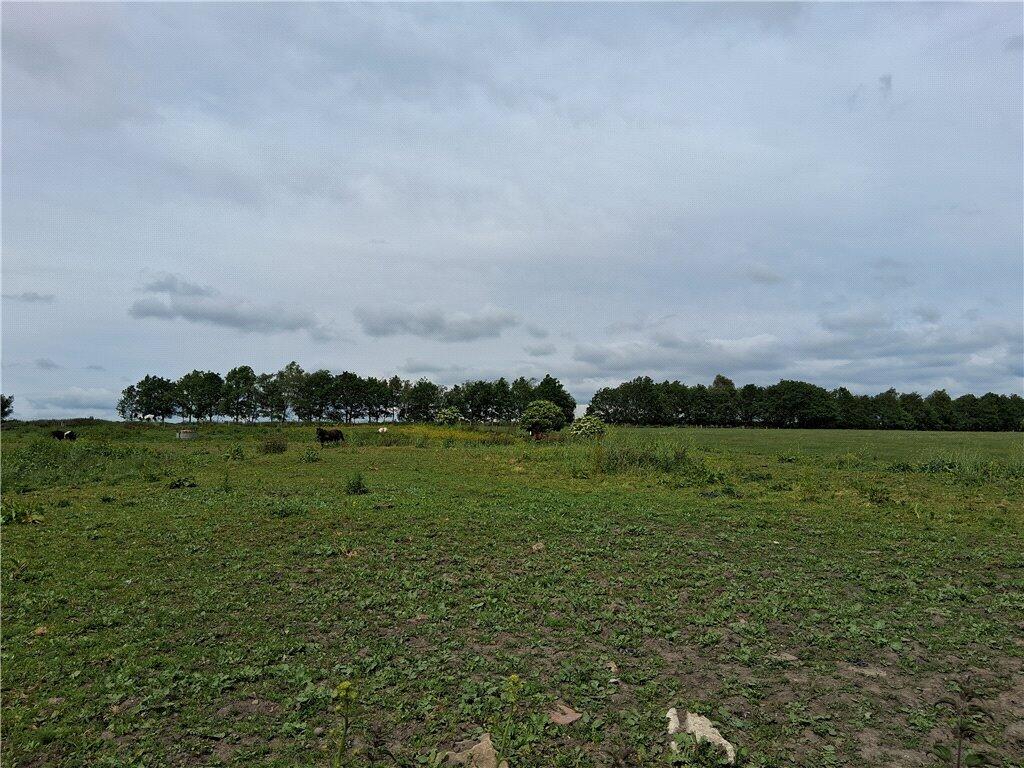 Tyersal, Bradford, BD4 photo 4