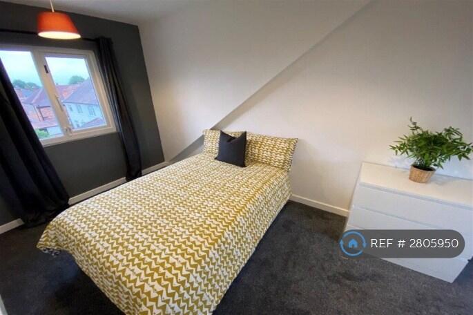 1 bedroom house share for rent