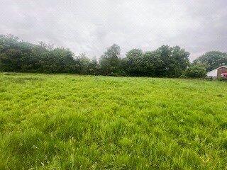 Picture No. 09