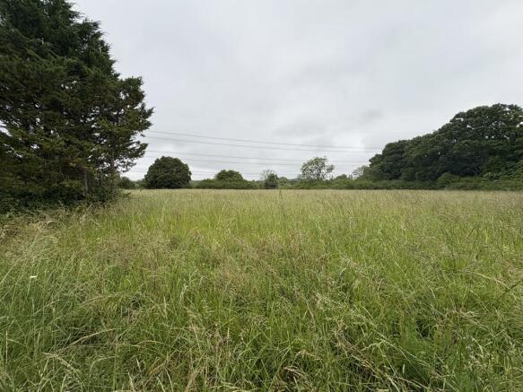 Photo 48