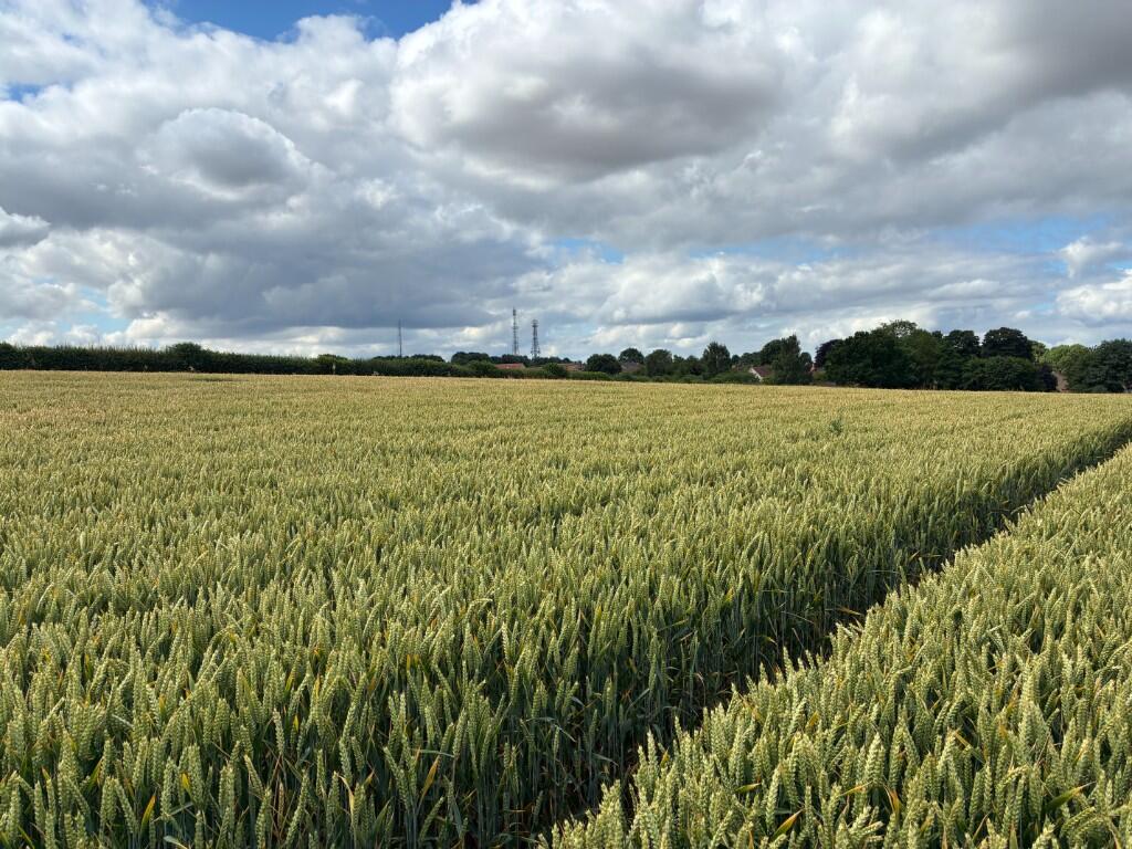 10.60 acres Land at Clifton - View 2
