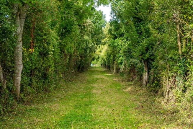 Driveway