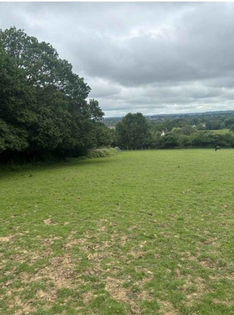 Old Holbrook Lane, Horsham, RH12 - View 5