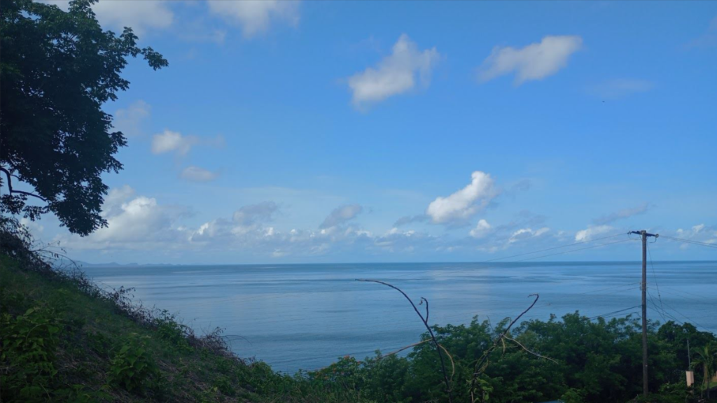 Main image of property: Layou