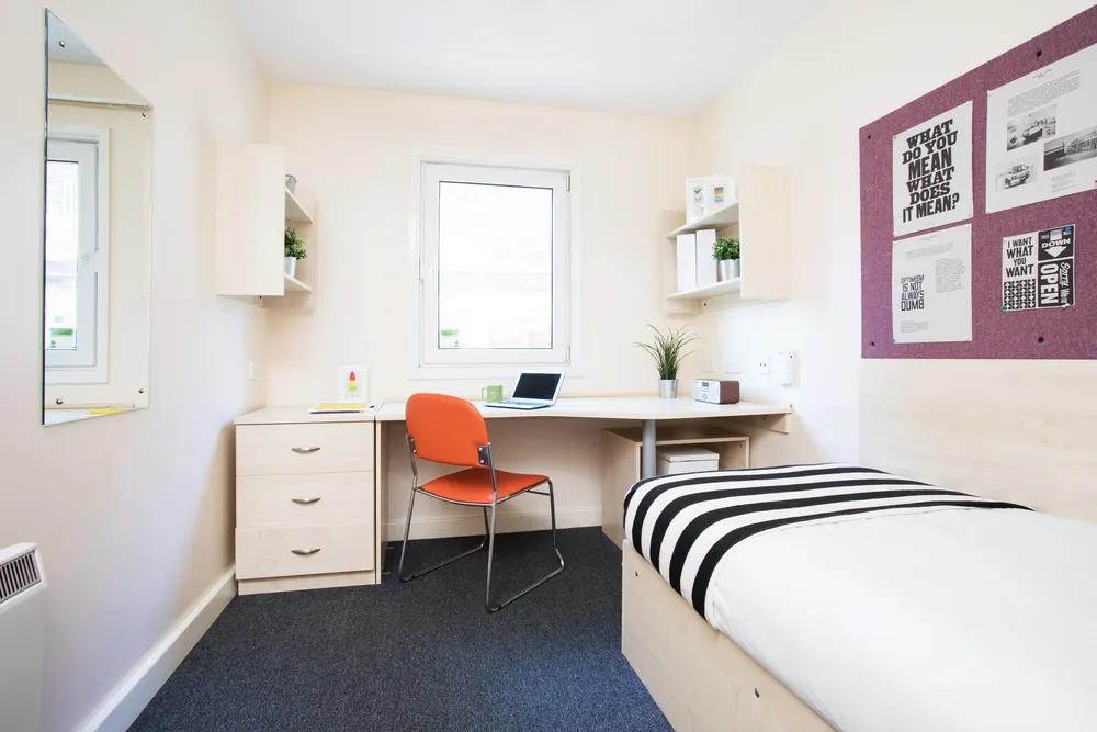 1 bedroom flat share for rent