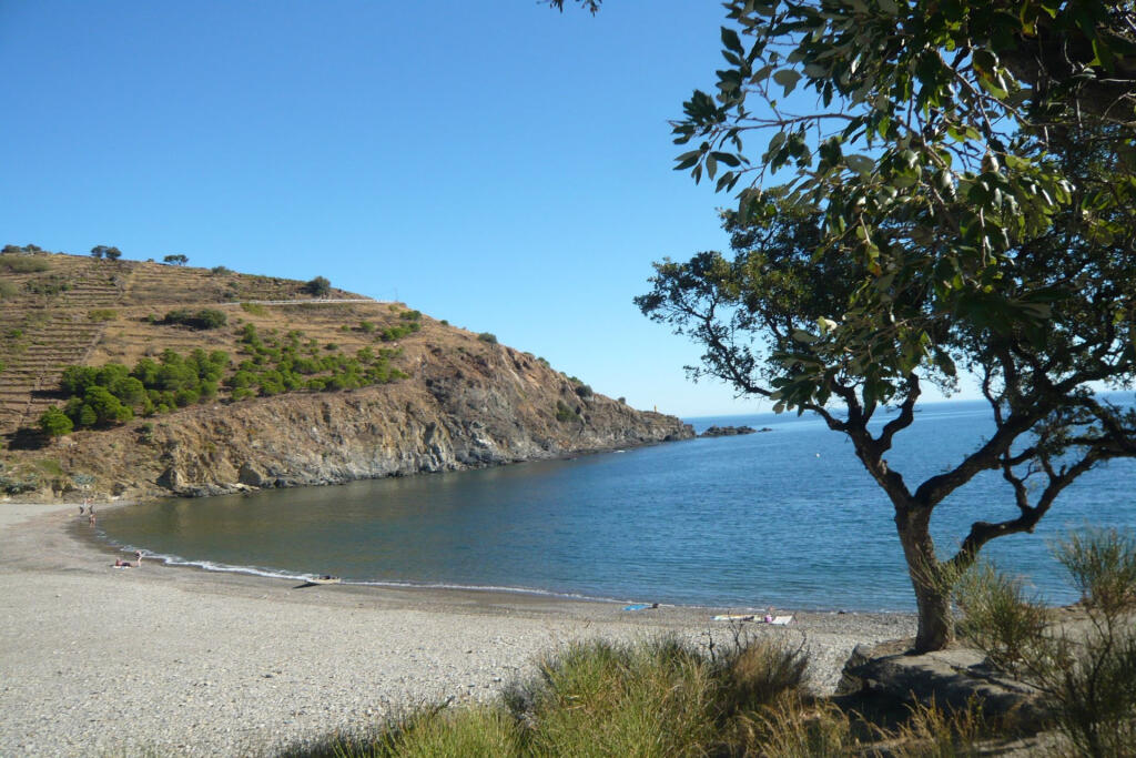 Main image of property: Languedoc-Roussillon, Pyrénées-Orientales, Cerbère