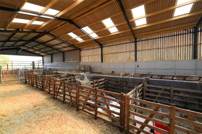 Sheep Shed