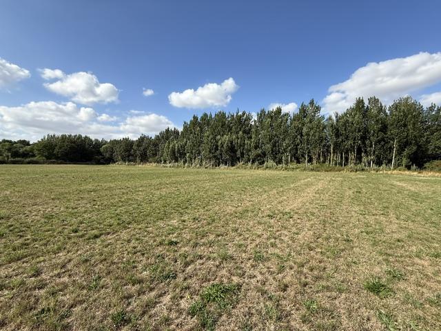 Marsh Lane, Arksey, Doncaster, Doncaster, DN5 0SH photo 2