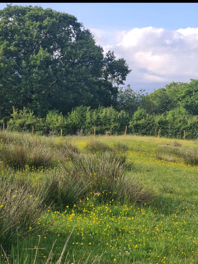 Land at Palace Lane, Newby Bridge, Ulverston, Cumbria, LA12 8NQ - More